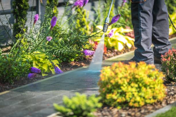 Best Winterizing Services  in Hurricane, UT